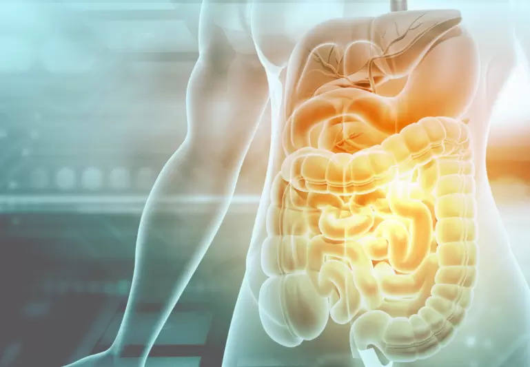 HKBU research discovers gut-derived molecule that suppresses Autoimmune Uveitis